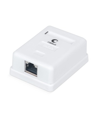 WS-8P8C-Cat.5e-SH-1 (7485c): Розетка RJ-45 в Альметьевске