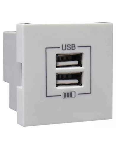 Розетка USB двойная, зарядная, белая (45439 SBR): Розетка USB двойная в Альметьевске