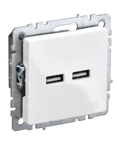 Розетка USB A+A 3,1А РЮ10-1-БрБ белый BRITE (BR-U21-D31-K01). Розетка USB. IEK в Альметьевске