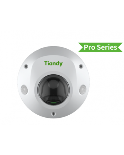 TC-C32PS I3/E/Y/M/H/2.8/V4.2. Видеокамера IP купольная. Tiandy в Альметьевске