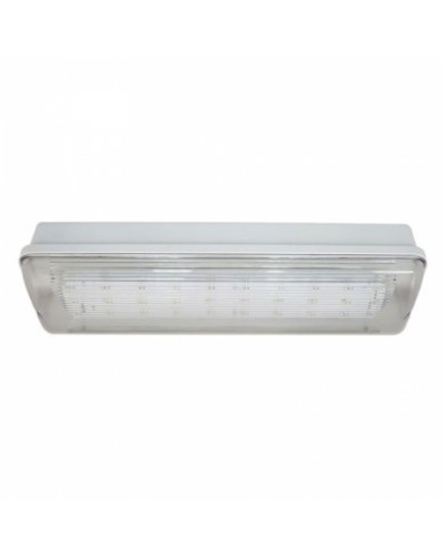 SL-223-30LED1.8 исп.1 IP54. Светильник аварийного освещения. ИП Раченков А.В. в Альметьевске